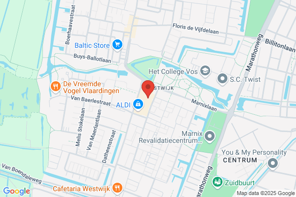 Vleeschmeesters