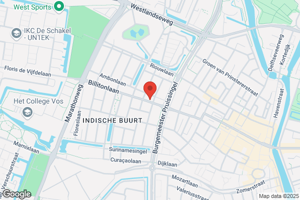 Koning, De