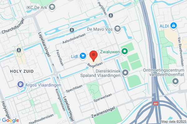 Videoland