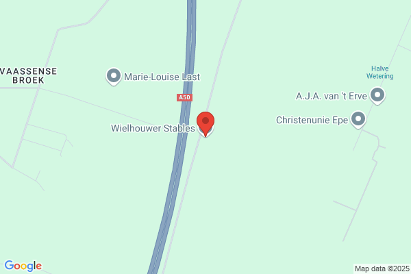 Wiechers, G H