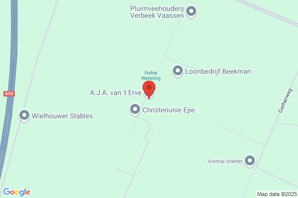 Erve, A H Van 't