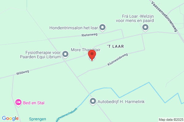 Haar, Van Der