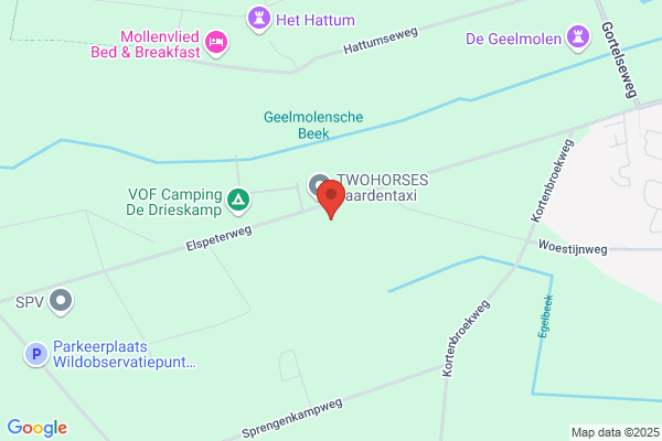 Koopman, Hans