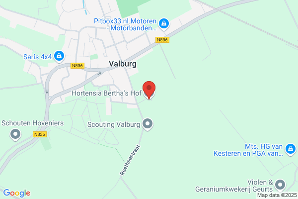 Klavertje Vier
