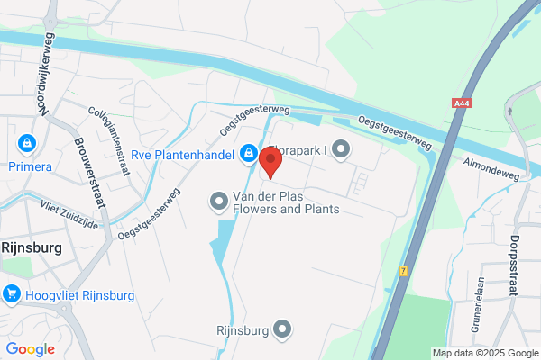 Ravensbergen Bloemen
