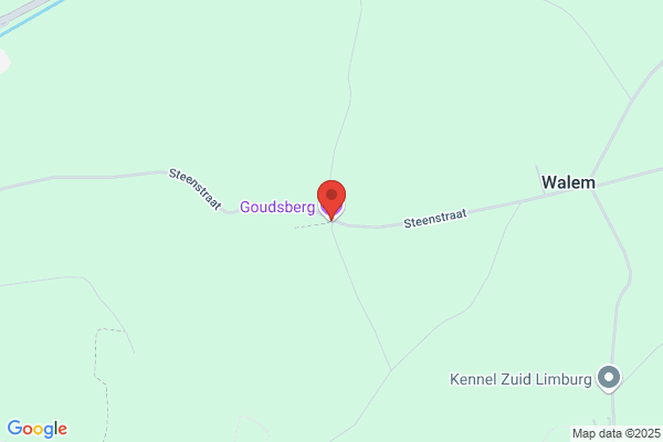 Dorpskroon, De