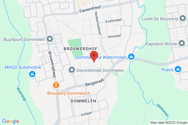Dorst, Van
