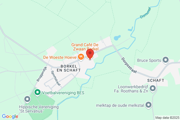 Zwaan, De