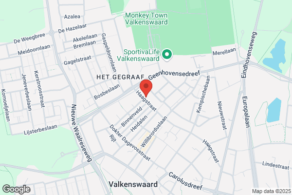 De Windroos