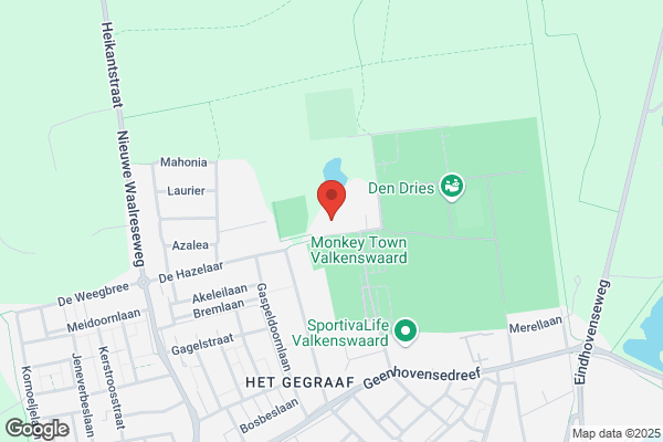 Geel van Budosport