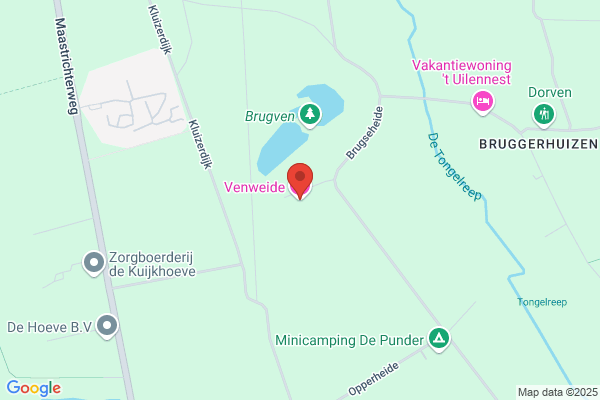 Vipaven