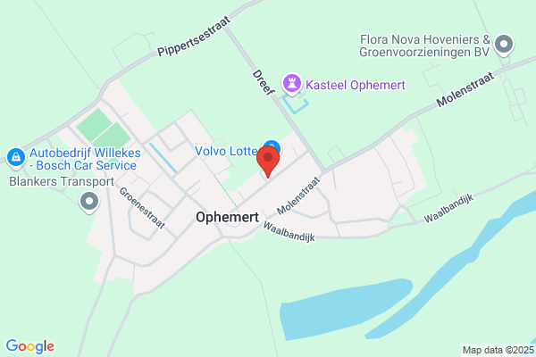 Bruin, Aart De