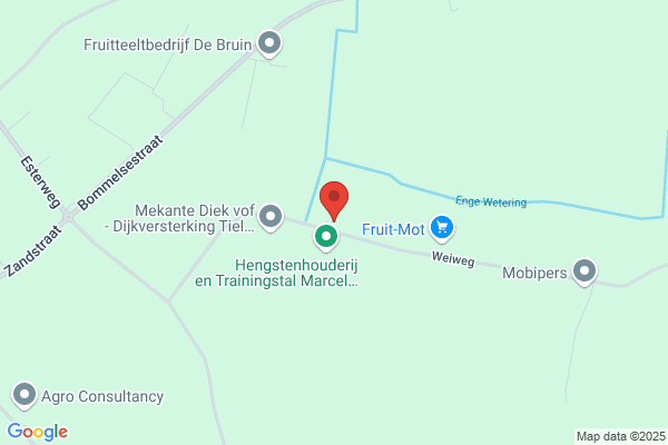 Jong, De