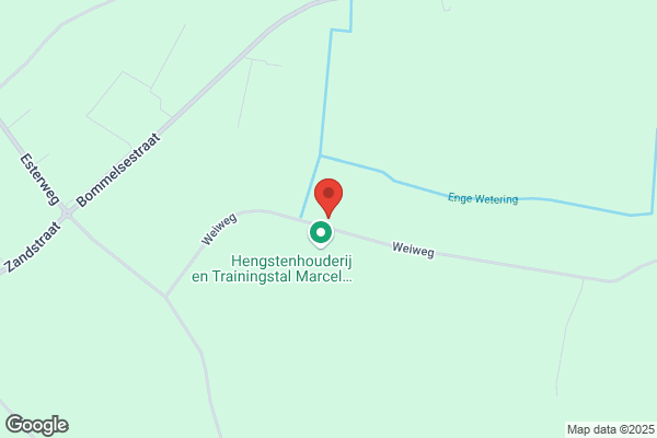 Jong, De