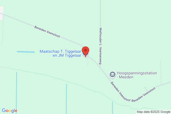 Tiggelaar