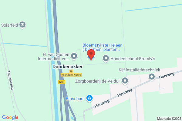 Bloemstyliste Heleen