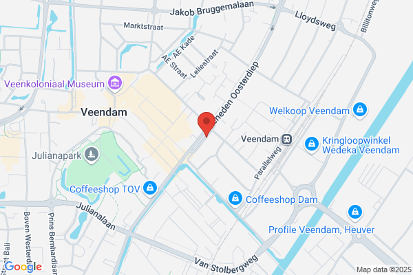 Copy - Profs Veendam