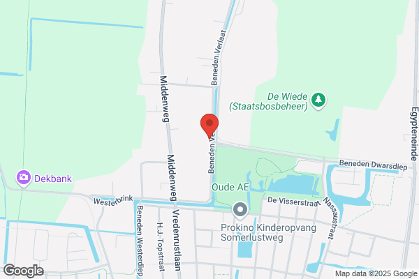 Hsg Koeriersdiensten Nederland