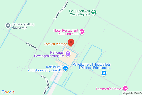 Leijns, H A