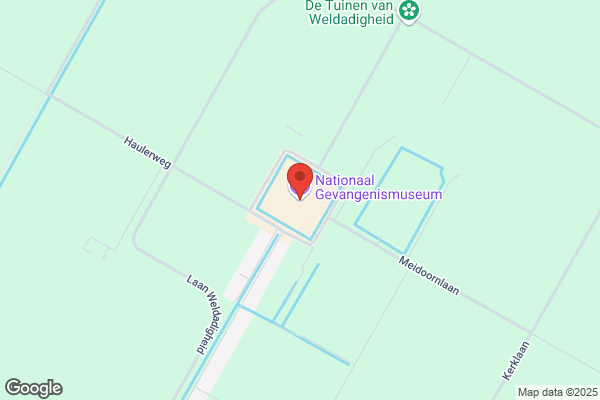 Toezichthouders