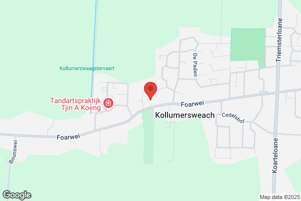 Fysiotherapie de Trije Doarpen