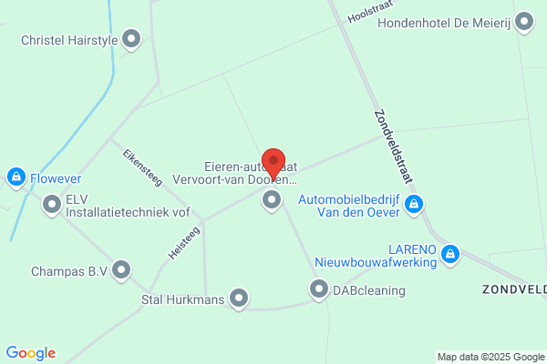 Henny Van Den Elsen