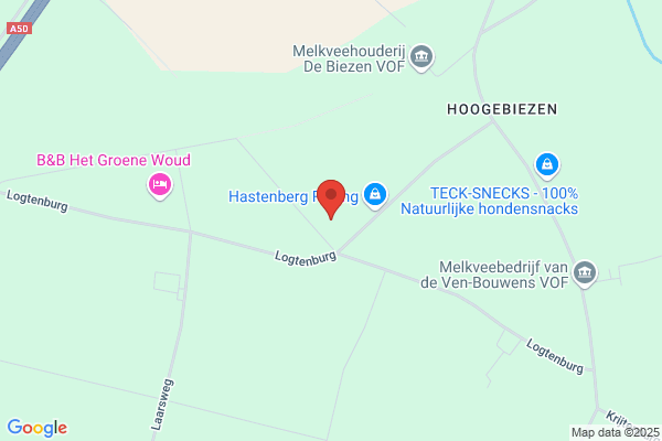 Fysiotherapie Bij Dieren