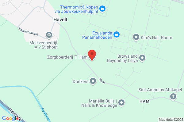 Ham, 't