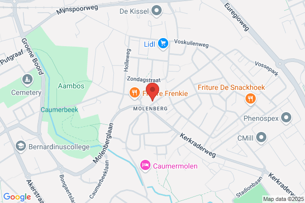 De Tweede Kamer