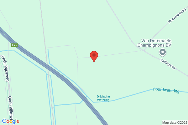 Dormaele, O Van