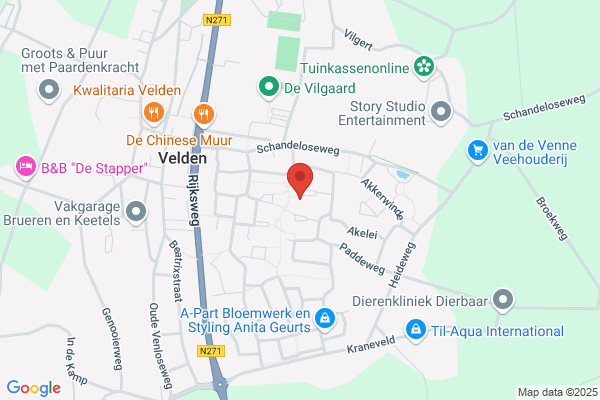 Hoogstraten, Autorijschool