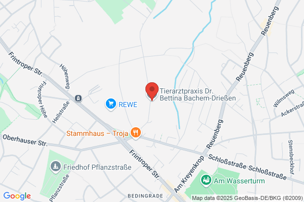 Driessen, P T M