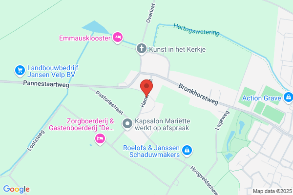 Reijnen