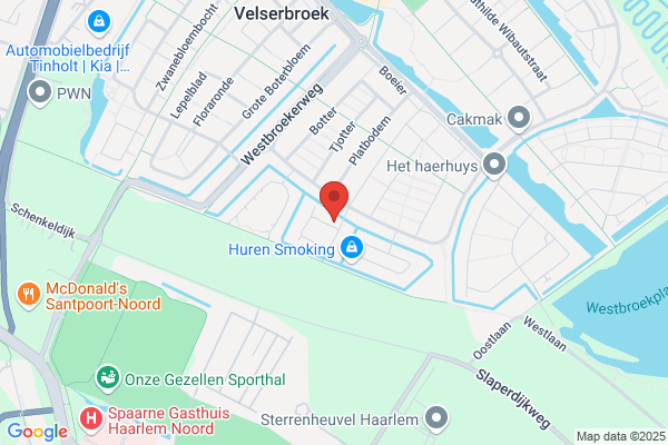 Mol Assurantiën Nellie