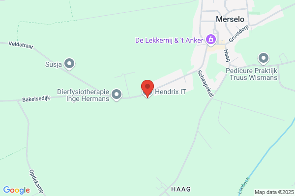 Hendriks