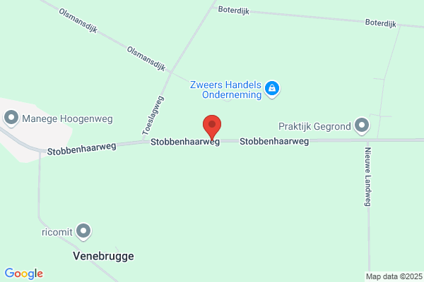 Drs. Bj Migchelbrink-Visscher