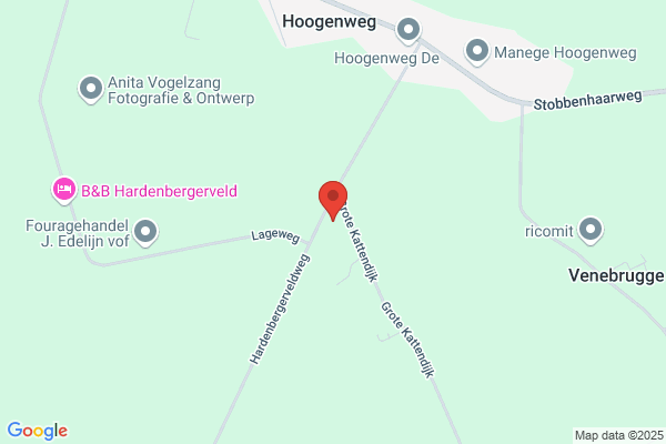 Mijmerij, De