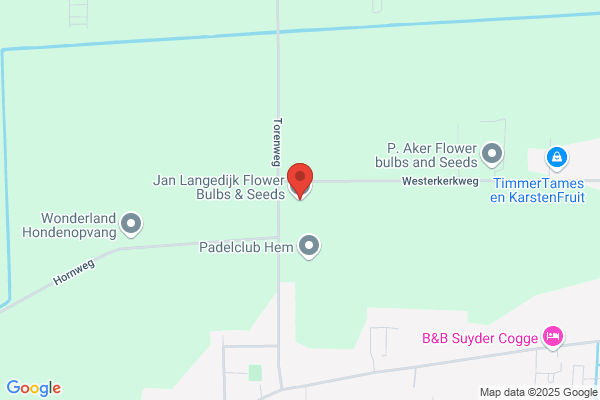 Bloemenhoekje, 't
