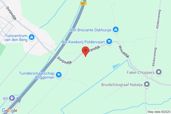 Koning, De