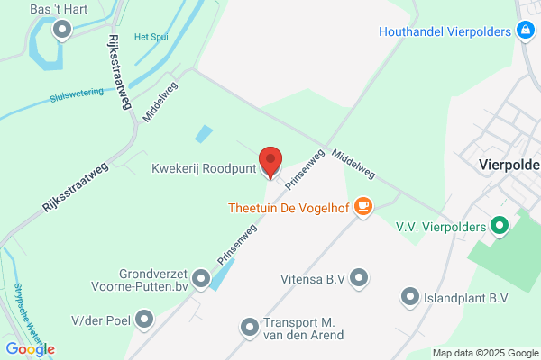 Rozenkwekerij Sonneveld Cv