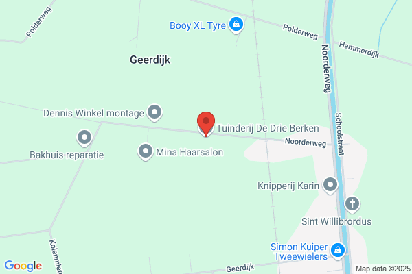 De Drie Berken
