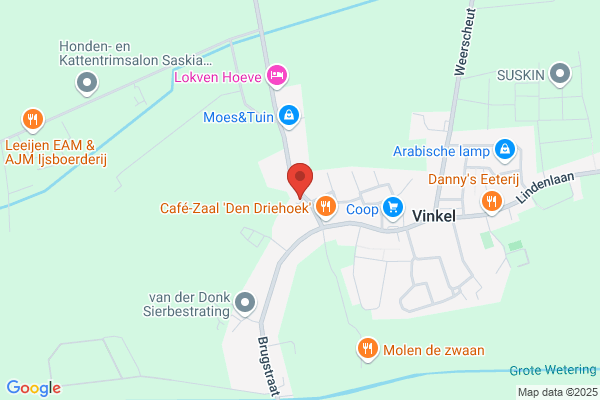 Elzen, A J Van Den