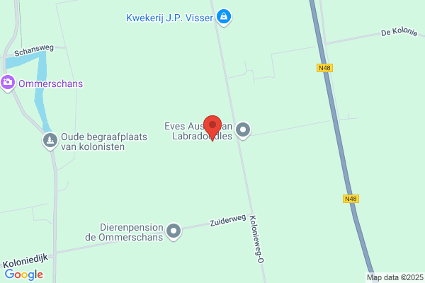 K. Tuin