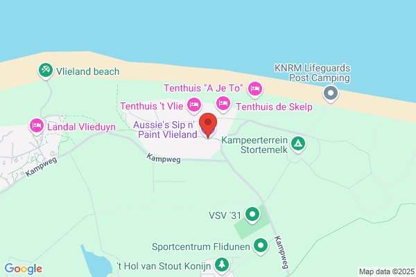 Asp Vlieland