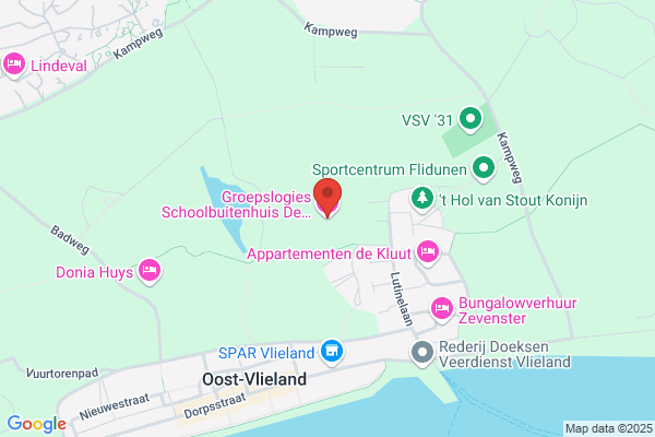 Vliehorst, De