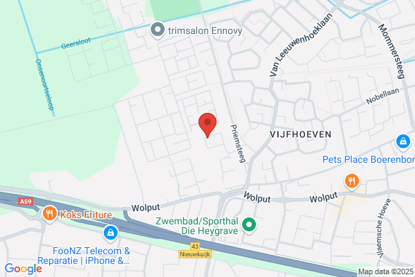 Presentatie Service Nederland