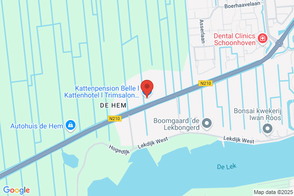 Belle, Kattenhotel