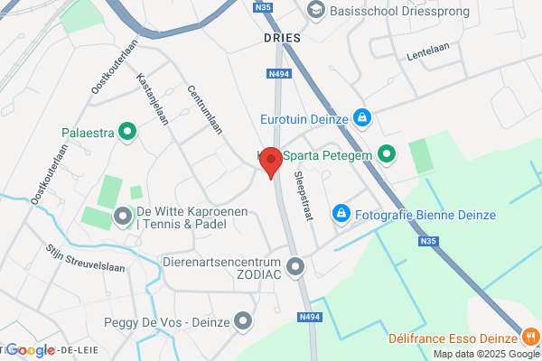 Kroniek, De