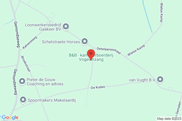 Koning, De