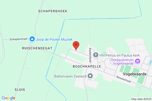 D'hooghe